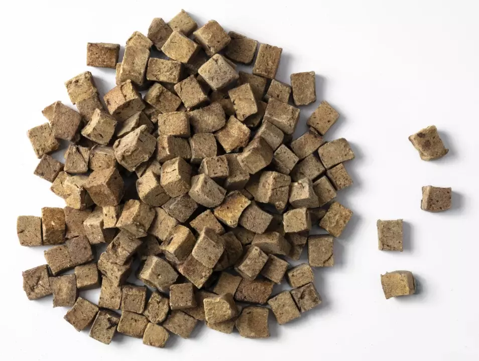 Beef Liver