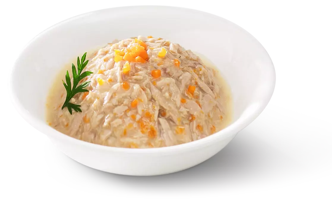 TUNA WITH CARROT IN GRAVY PLATE