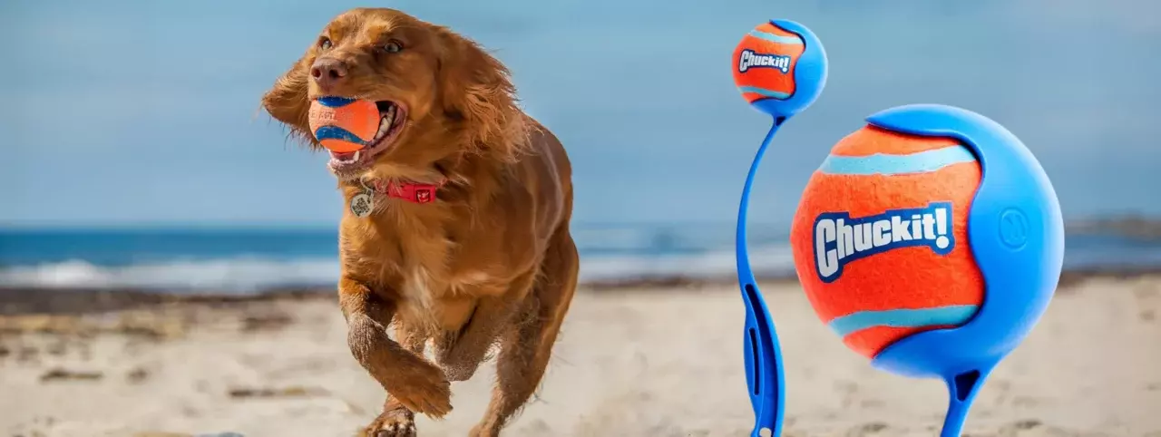 PettricImg